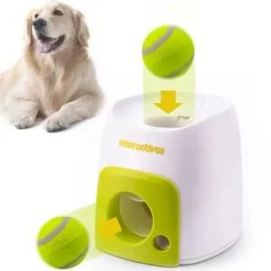 Automatic Interactive Pet Toy