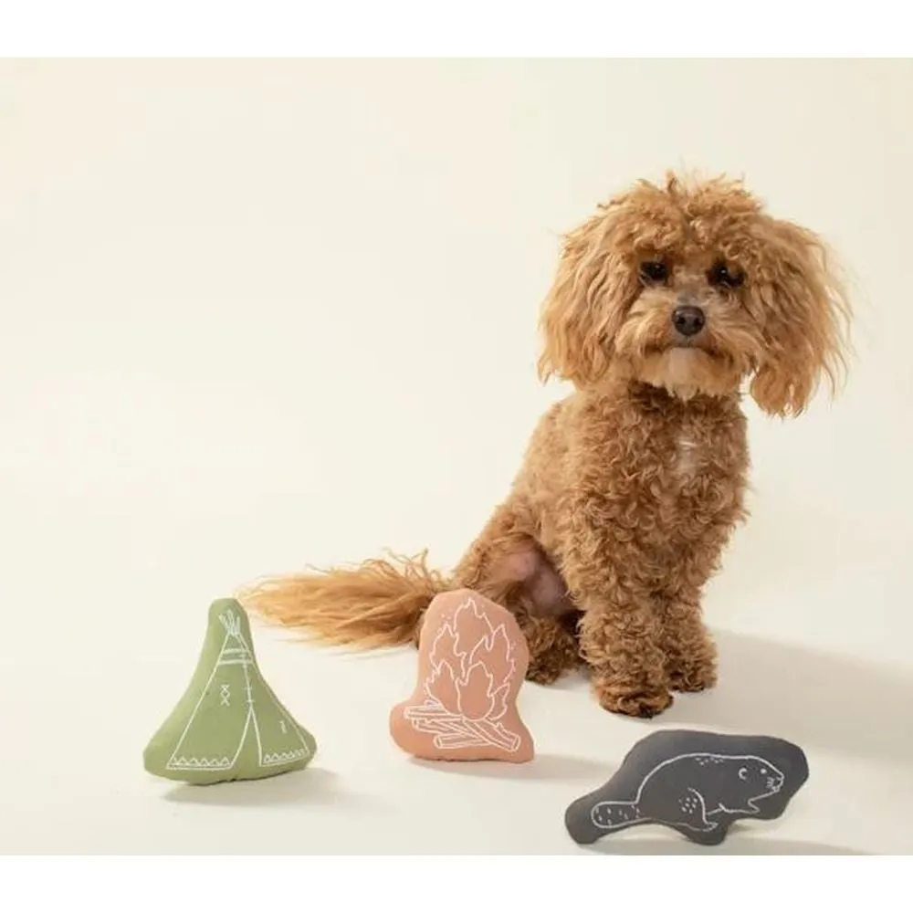 Camping Mini Dog Toy Set