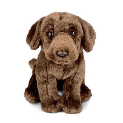 Chocolate Labrador Puppy Plush Toy 20cm