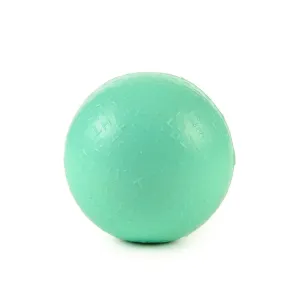 Fetch Ball in Turquoise