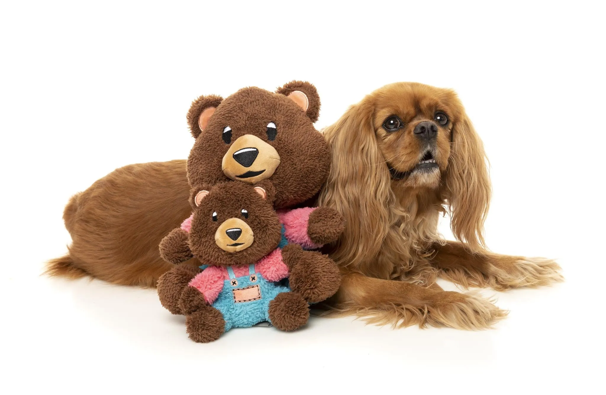 FuzzYard Fuzz Bear Dog Toy