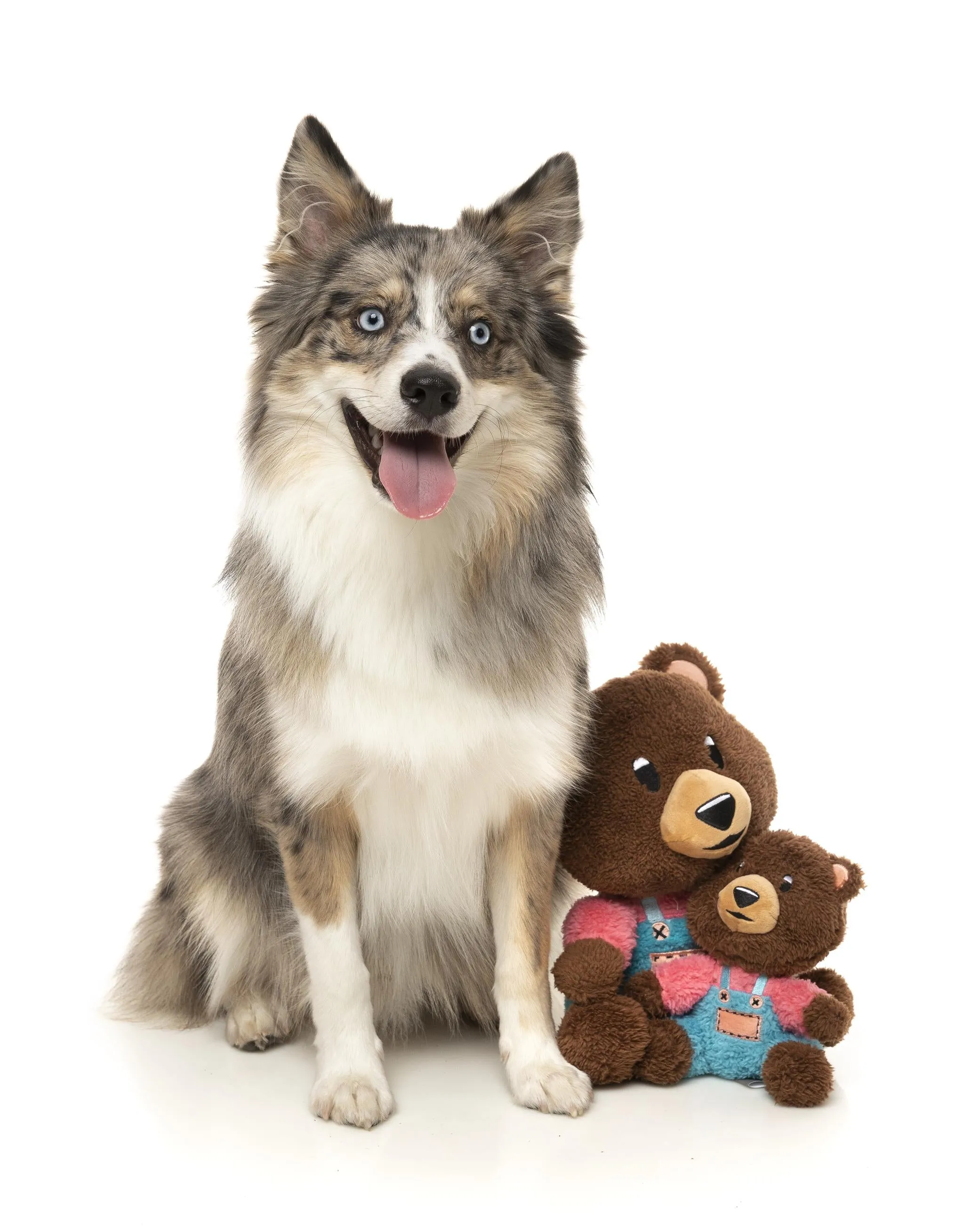 FuzzYard Fuzz Bear Dog Toy