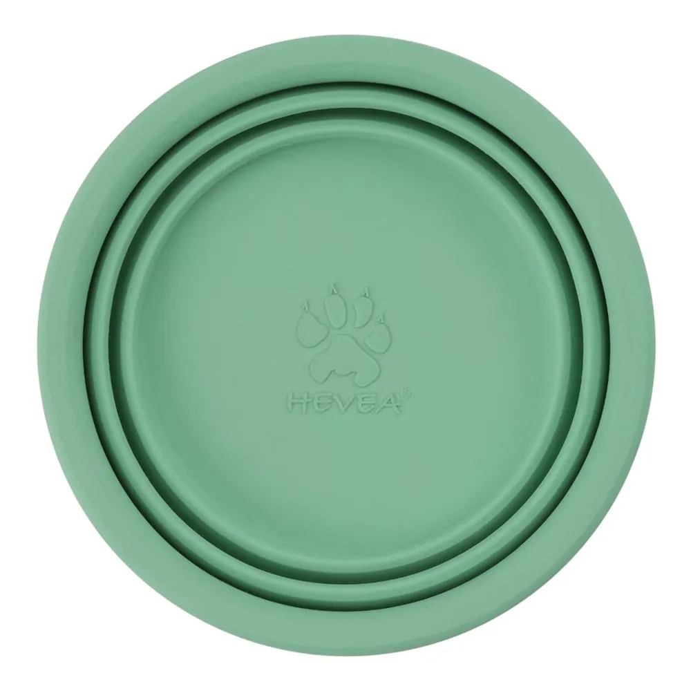 Hevea Dog Bowl On The Go - Pale Mint