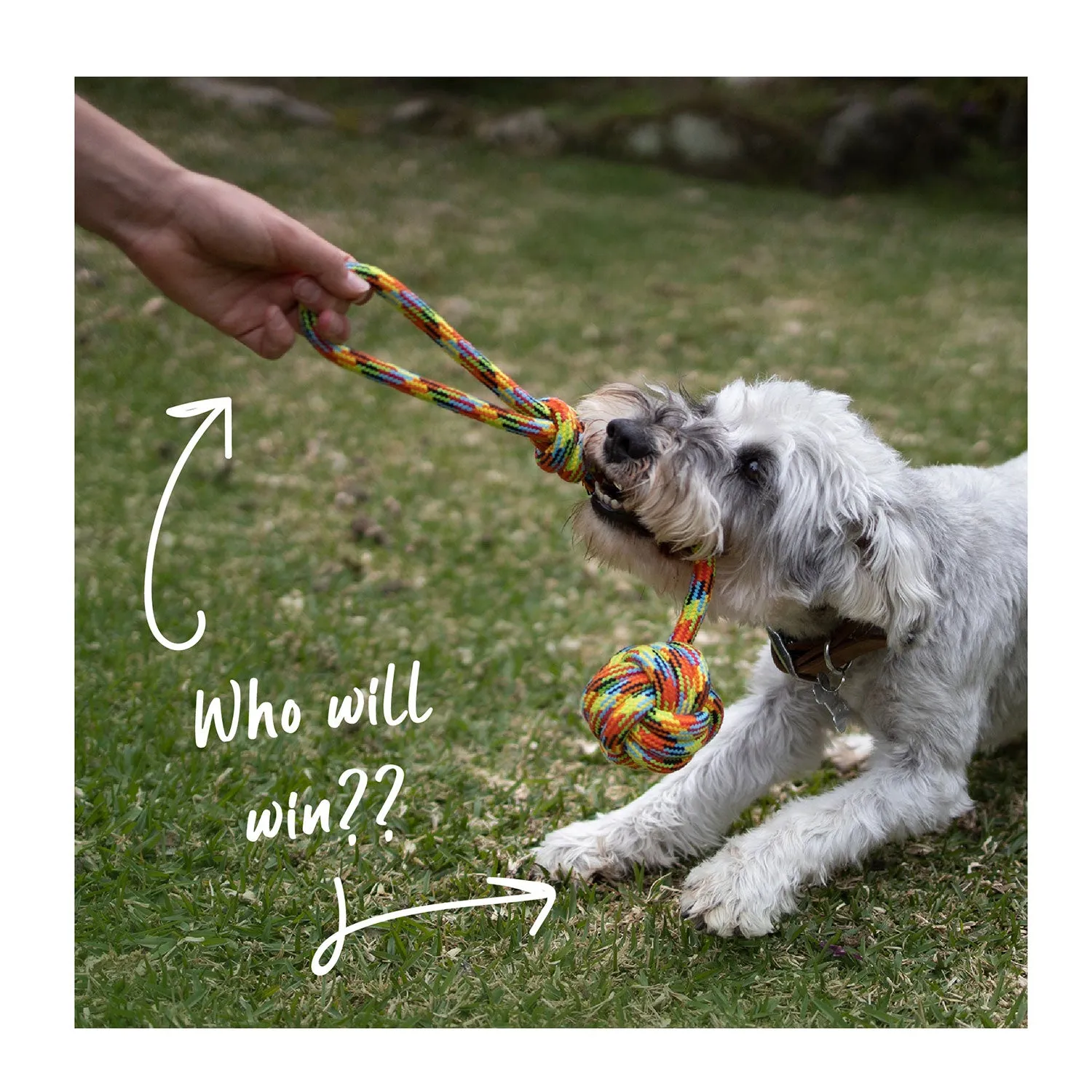 Kazoo Braided Rope Sling Knot Ball Dog Toy