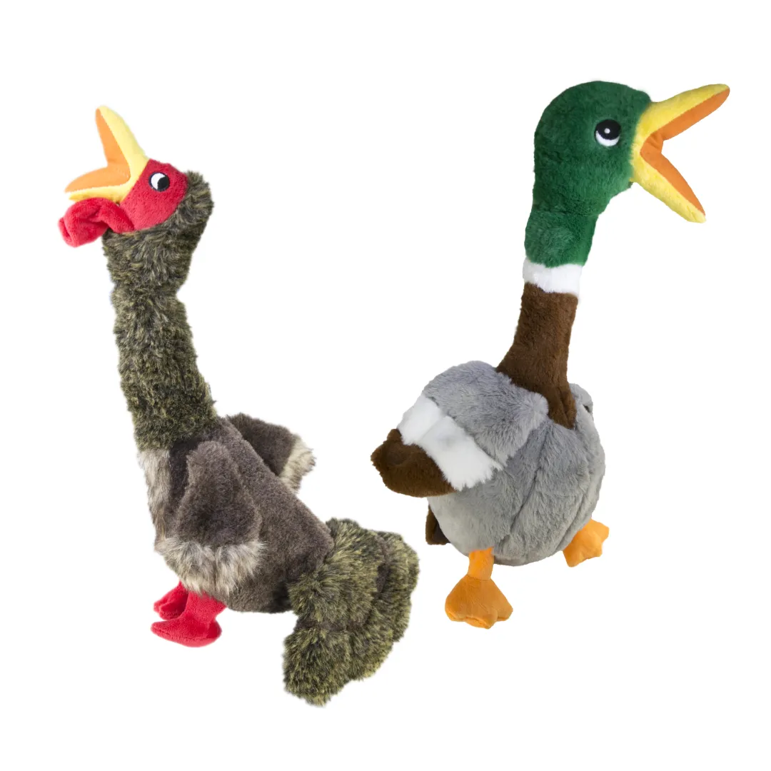 Kong Shakers Bird Toy