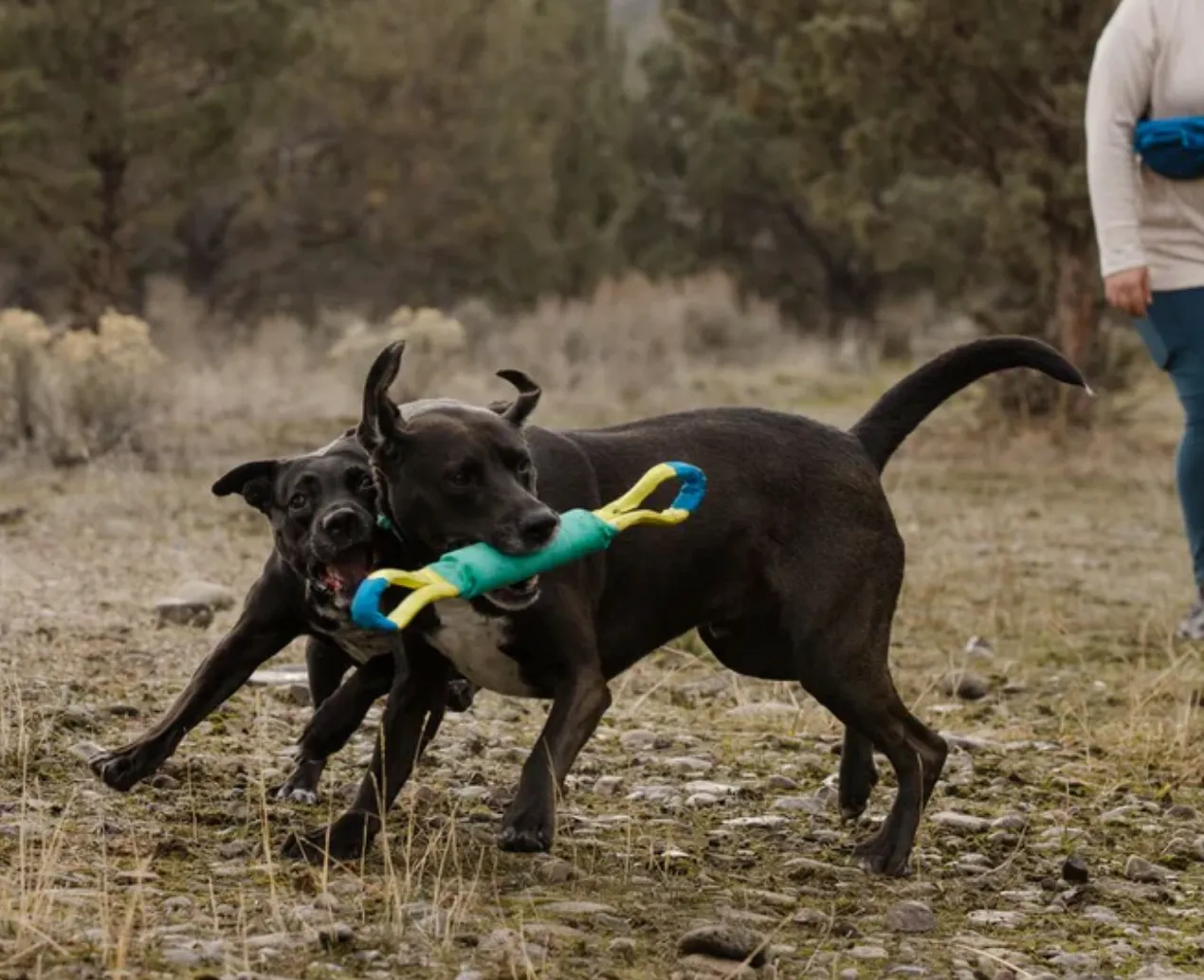 Ruffwear Pacific Loop Toy