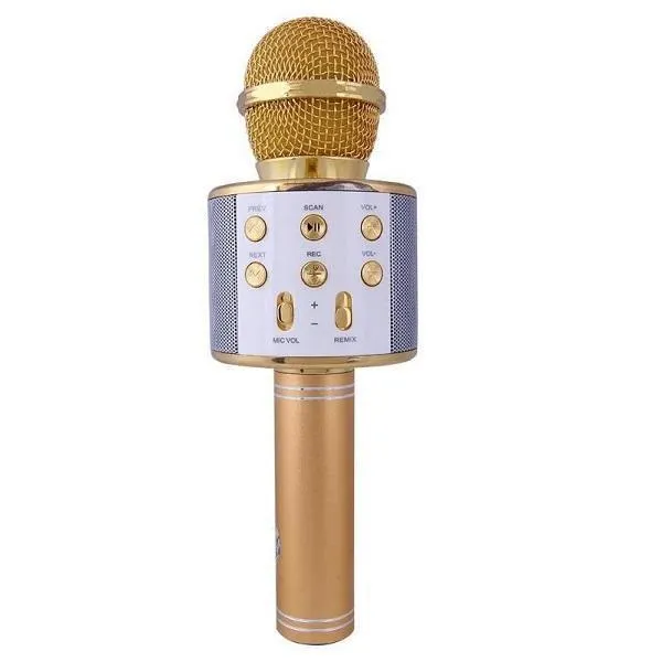 Wireless Karaoke Microphone for Kids - Assorted Colours