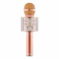 Wireless Karaoke Microphone for Kids - Assorted Colours